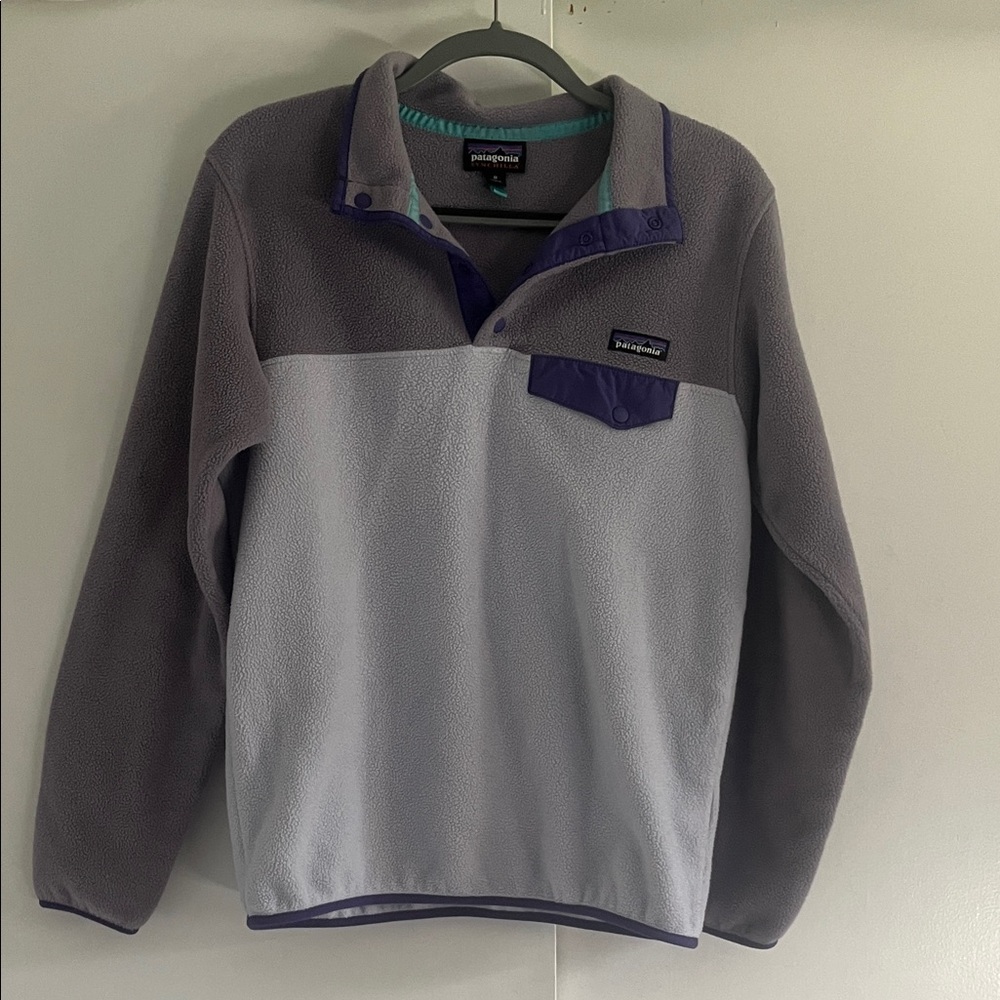 Patagonia Two-Tone Fleece Pullover